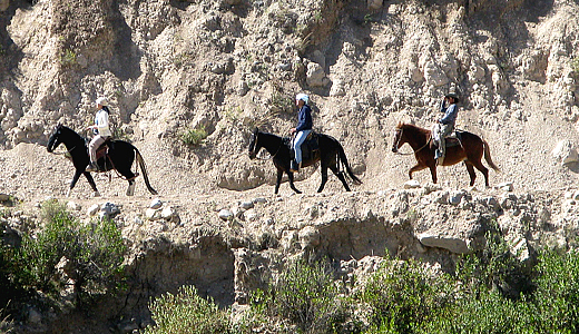 Adventure Horse Tour In The Colca Canyon