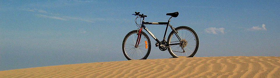 Bike Desert In Peru
