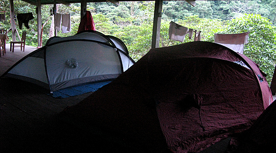 Camping In The Jungle Of Peru