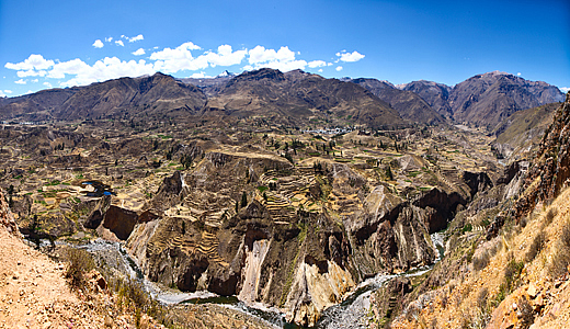 Agriculture Terraces In The Colca Valley