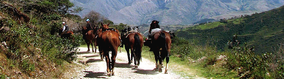 Horse Riding Peru