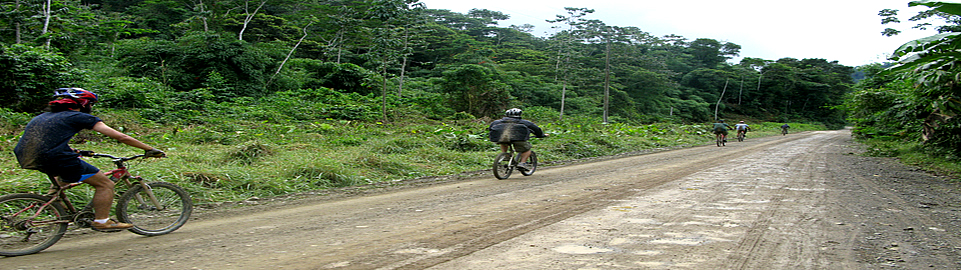 Biking Tour To Manu Jungle - Peru