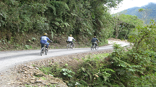 Downhill Mountain Bike Tour To Manu National Park