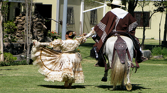Marinera Dancer - Peruvian Paso Horse Spectacle