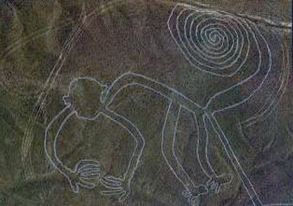 Monkey - Nazca Lines