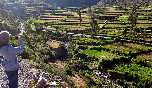 Pre-Inca Terraces