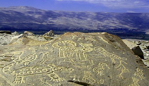 Toro Muerto Rock Art