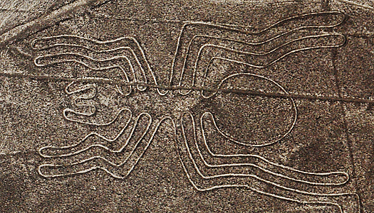 Spider Figure On The Surface Of The Nasca Lines
